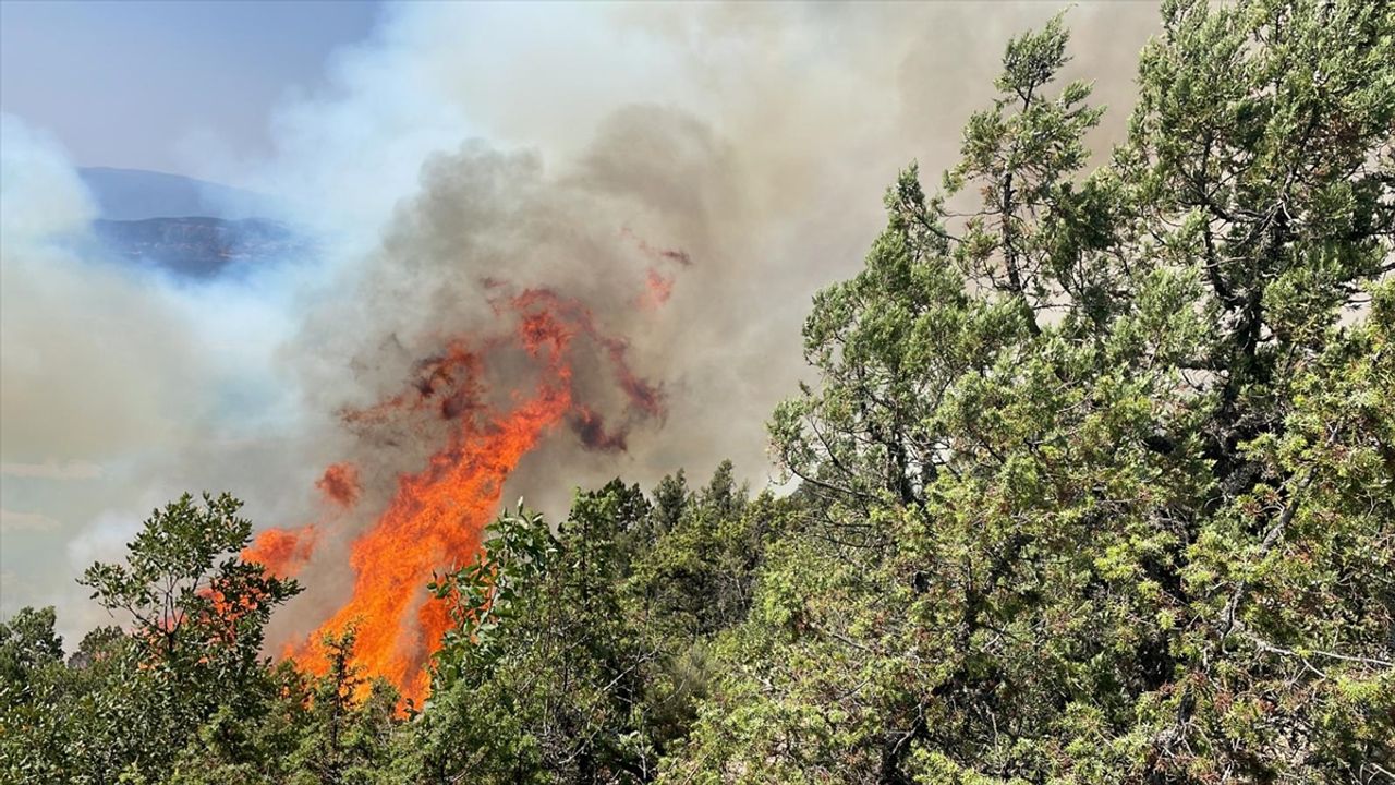 Bolu'da orman yangını: Ekipler müdahale ediyor