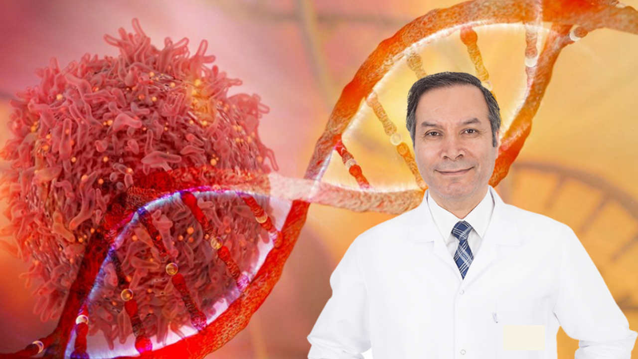 Prof. Dr. Güner Sönmez açıkladı: Kanser riskini düşüren besinler