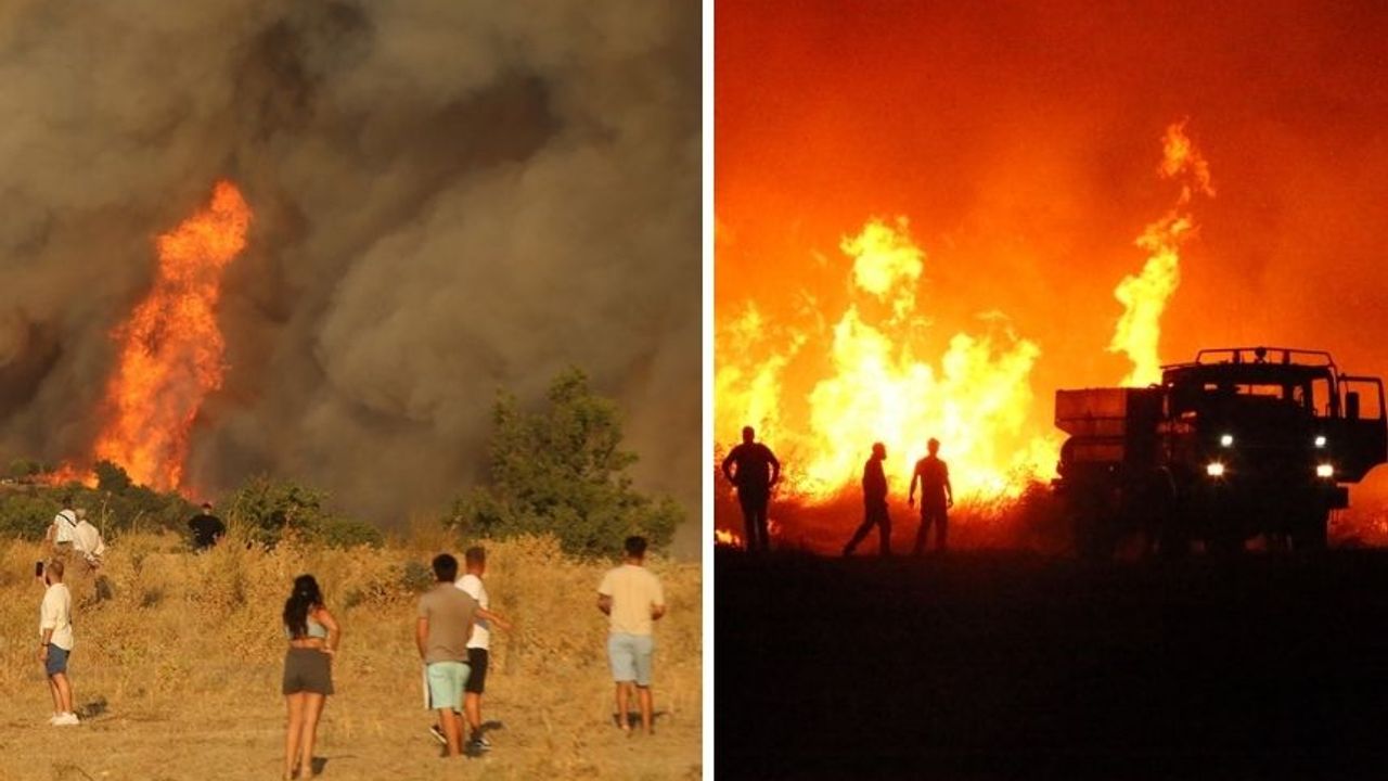 Çanakkale yangının acı bilançosu: 9 saatte 5 bin hektar yandı!