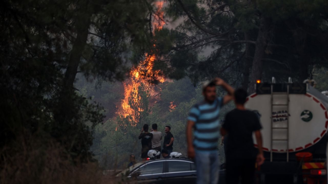 Mudanya'da ormanlık alanda çıkan yangına müdahale ediliyor