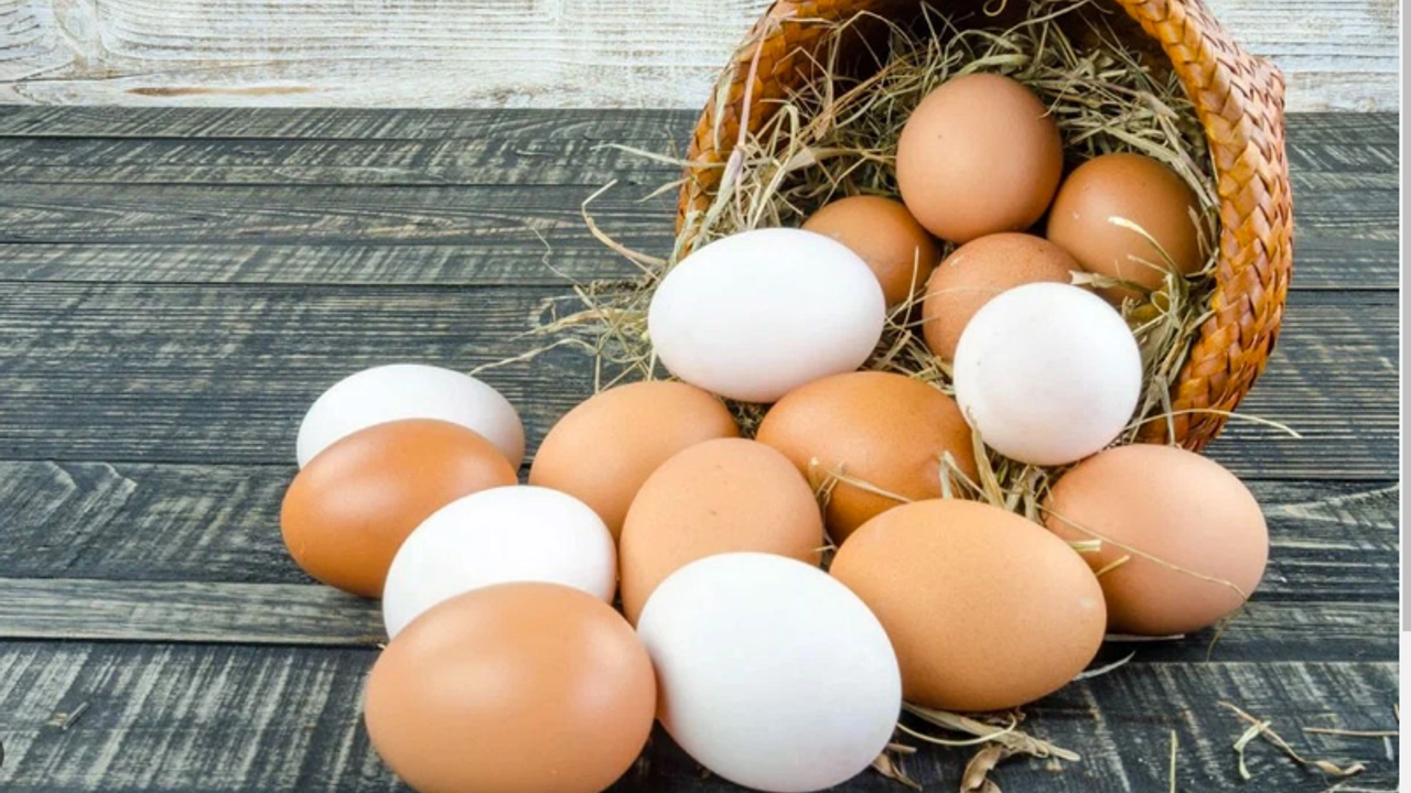 Yumurta sektörü krizin eşiğinde!