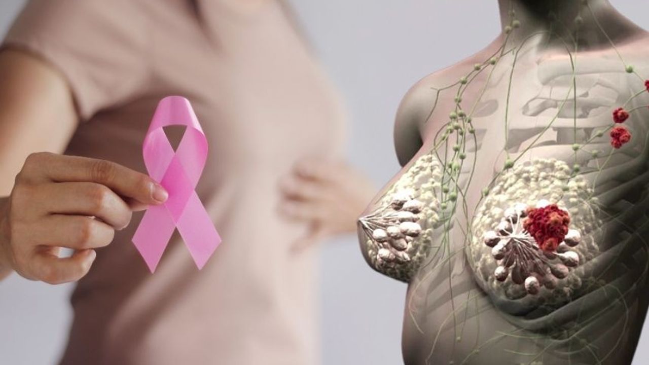 Kadınlar bu siteden kanser riskini öğrenebilecek