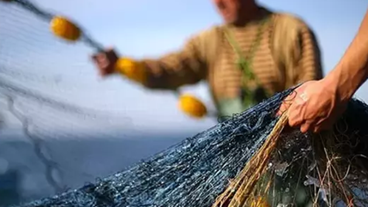 Balık ihracatı zirveye ulaştı: 1 milyar dolar