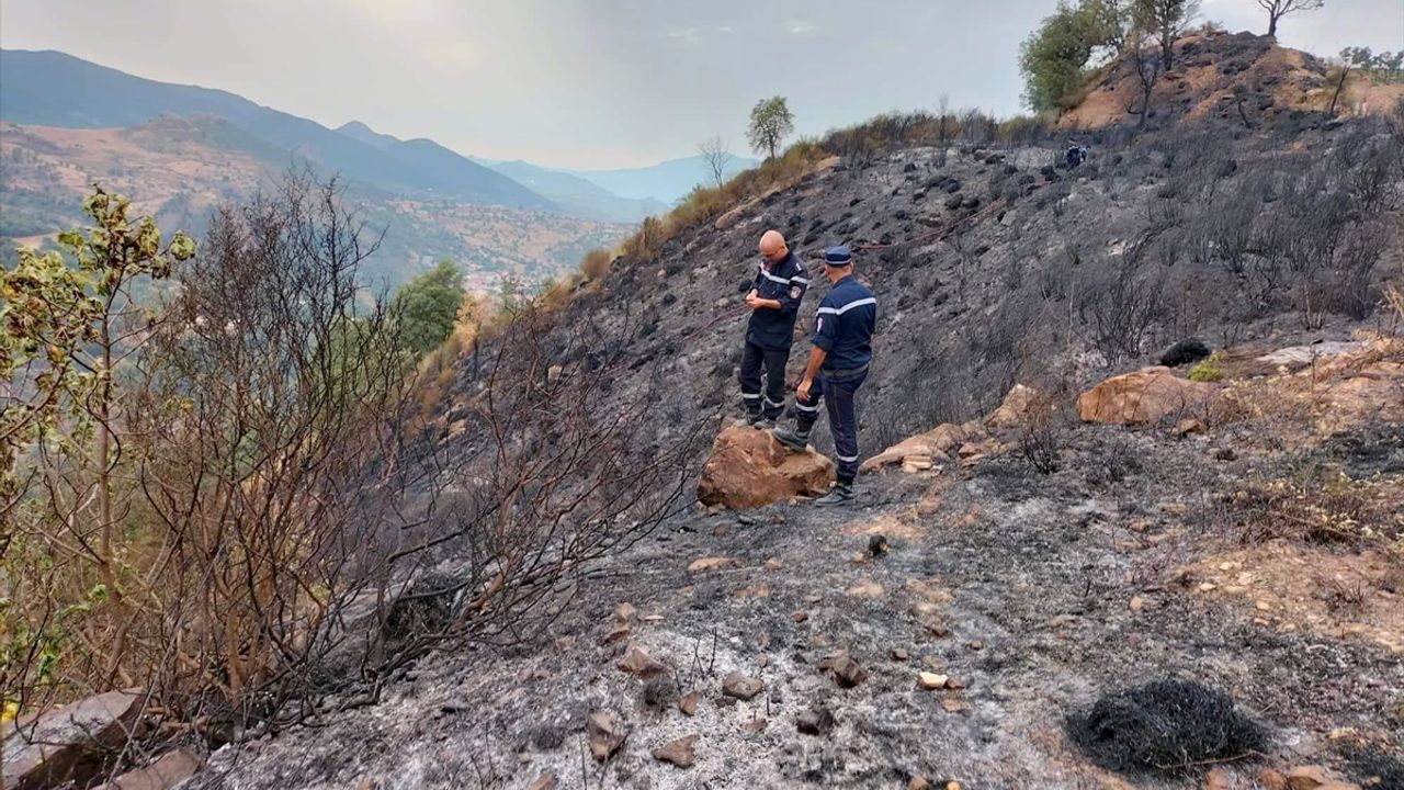 Cezayir’deki orman yangınlarında 26 kişi hayatını kaybetti