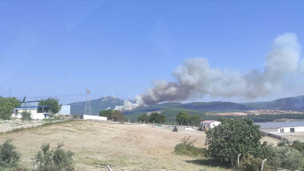 Manisa Soma'da bir orman yangını daha çıktı