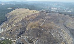 Çanakkale'deki orman yangını havadan görüntülendi: Yeşil alan kalmadı!