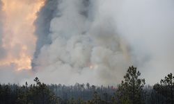 Eskişehir'de orman yangını: Alevler yerleşim yerlerine yaklaşıyor!