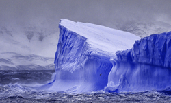 Antarktika şaşırtıcı miktarda buz kaybediyor