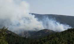 Bilecik'te çıkan orman yangını devam ediyor