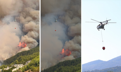Antalya Alanya'daki orman yangını kontrol altına alındı