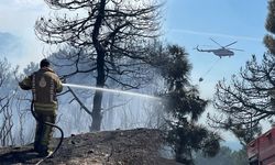 İstanbul'da orman yangını: Alevler yerleşim yerlerine yaklaştı!