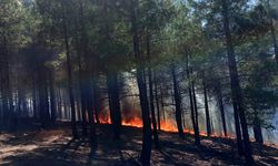 Sultanbeyli'de yangın: Müdahale ediliyor