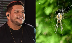 Örümcek ısırığı ünlü şarkıcıyı öldürdü!