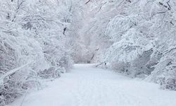 Beklenen kar yağışı Bulgaristan'da başladı