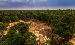 Amazon Ormanı tarihinin en kötü kuraklığını yaşıyor!