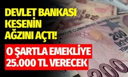 Halkbank’tan Emeklilere Müjde: 25.000 TL Promosyon