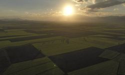 Nurdağı ve İslahiye'de tarım arazileri devlet desteğiyle yeşilleniyor
