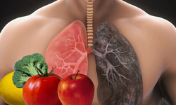 Akciğer dostu besinler hangileri ?