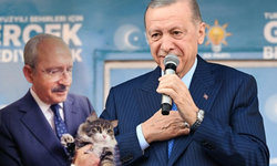 Cumhurbaşkanı Erdoğan'dan kedi Şero göndermesi!