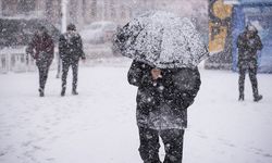 Ardahan, Artvin, Van ve Ağrı'da eğitime kar engeli:Okullar tatil