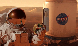NASA Mars simülasyonunda yaşayacak adaylar arıyor!