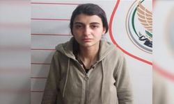 Sızma girişiminde bulunan PKK'lı yakalandı