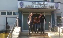 Diyarbakır'da Nevruz hırsızları tutuklandı