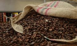 Kakao fiyatı 46 yılın zirvesince