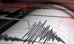 Muğla'da 4.4'lük deprem