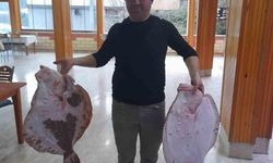 Sinop'ta 10 kiloluk kalkan balığı görenleri şaşırttı