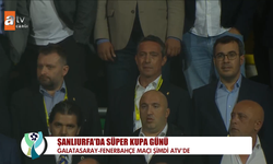 Galatasaray taraftarı Ali Koç'a tepki gösterdi
