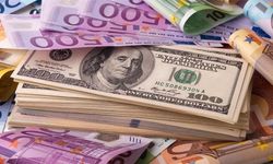 Merkez Bankası'nın faiz kararı sonrası Dolar ve Euro suru: 24 Mayıs 2024 döviz kurları