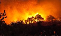 Türkiye'de yaşanan orman yangınlarında PKK'nın parmağı mı var?