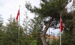 Şehit mezarlarında ’Türk bayrağı yok’ iddiasına yanıt