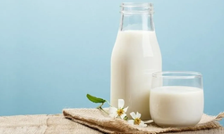 Sütün faydaları nelerdir?