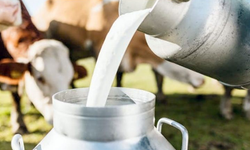 USK çiğ süt fiyatı ne kadar oldu?