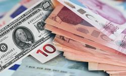 1 Dolar kaç para? Euro, sterlin, döviz fiyatları (26 Haziran 2024 Çarşamba)