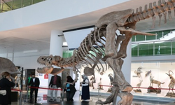 Milyonlarca yıllık fosillerin sergilendiği müze açılıyor