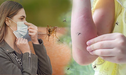 Sivrisineklere dikkat! Salgına yol açabilir
