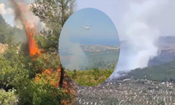 3 İlde orman yangını: Havadan ve karadan müdahale sürüyor