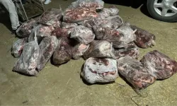 Aydın'da 1 ton domuz eti ele geçirildi