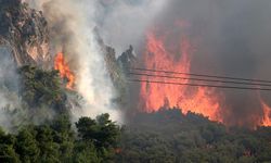 Bergama’da orman yangını