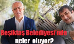 Beşiktaş Belediye Başkan Yardımcısı Ali Rıza Eryılmaz işçiyi kovdu iddiası