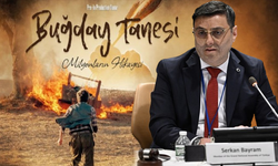 BM'de engelli hakları Türk yapımı "Buğday Tanesi" filmi üzerinden tartışıldı