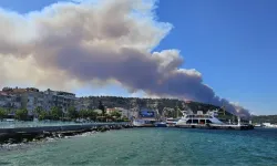 Çanakkale'de orman yangını! Boğaz'da gemi trafiği tek yönlü askıya alındı