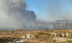 Çanakkale yangınlarında 952 futbol sahası büyüklüğünde alan kül oldu