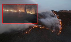 Denizli'de çıkan 8 orman yangını kontrol altında