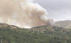 Denizli Babadağ'da orman yangını: Yerleşim birimleri tahliye ediliyor
