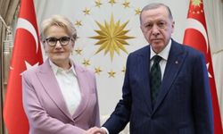 Cumhurbaşkanı Erdoğan Meral Akşener'i kabul etti, gündem yeni anayasa