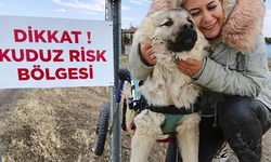 Kuduz köpekler Ankara'ya mı getirildi? Ankara'da kuduz alarmı!